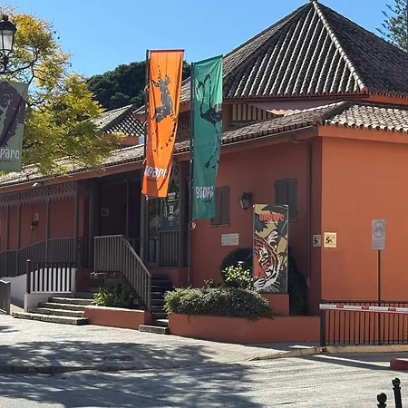 Penthouse Met Groot Terras Centrum *